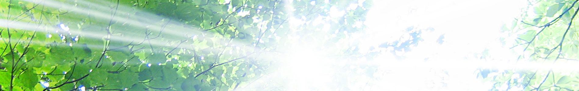 リンク集