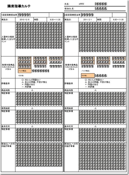 コールアセスメント評価者用資料（サンプル）イメージ